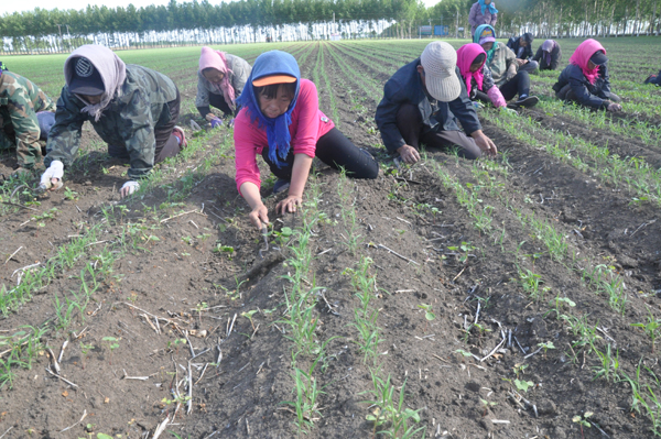 1467090718212450.bmp W020160627537107263764.bmp